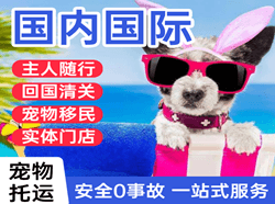 云冈航空货运国际宠物托运 【国